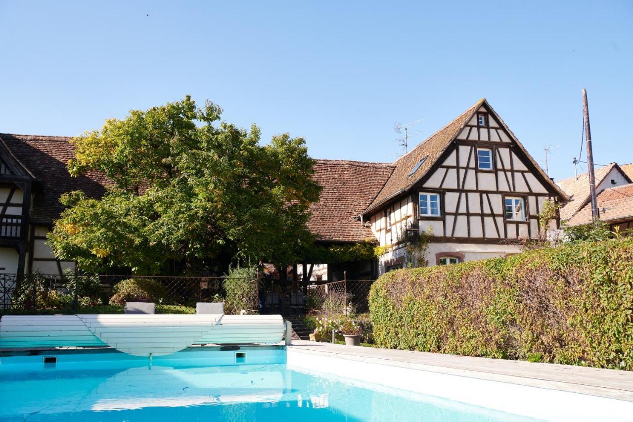 La Cour De Lise Maison D'Hotes Et Spa Willgottheim 외부 사진