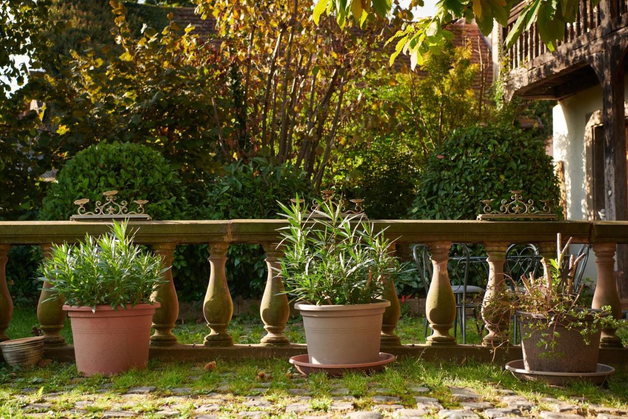 La Cour De Lise Maison D'Hotes Et Spa Willgottheim 외부 사진