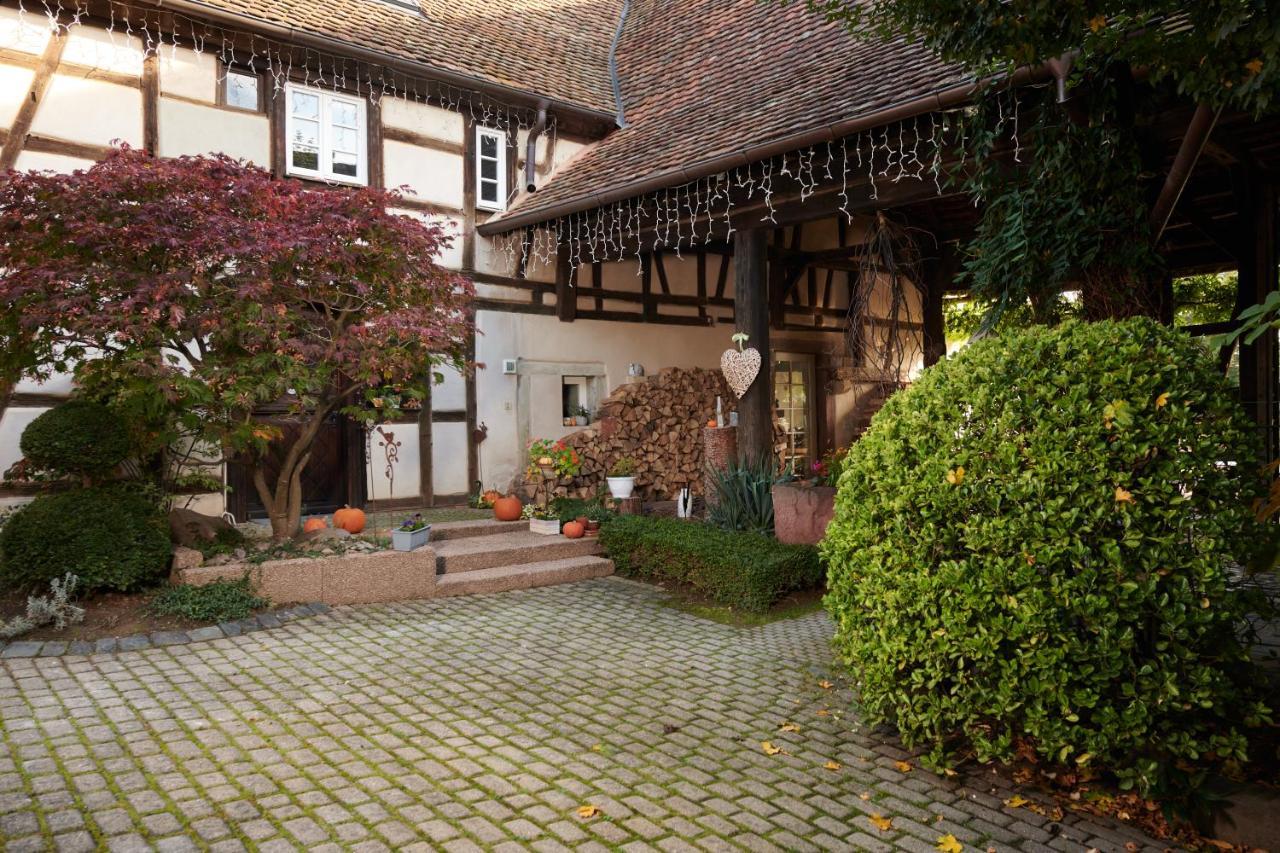 La Cour De Lise Maison D'Hotes Et Spa Willgottheim 외부 사진
